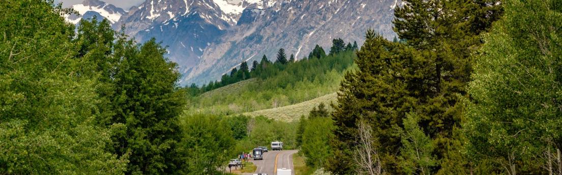highway going through trees toward rocky mountains