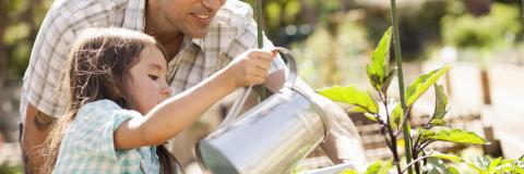 Girl with father watering plants with a water can