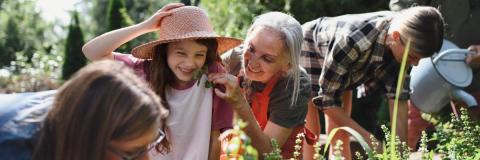 A group of people, young and old gardening today and smiling