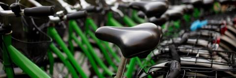 Row of green bikes